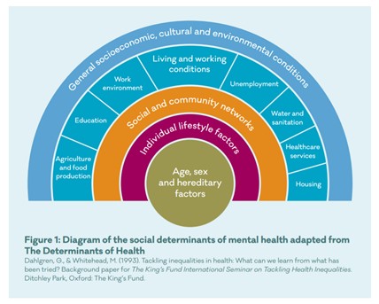 Diagram of the social determinants of mental health adapted from The Determinants of Health