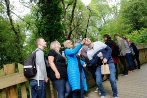 Amanda Nurse, managing director, with her team taking a selfie with a bear. 